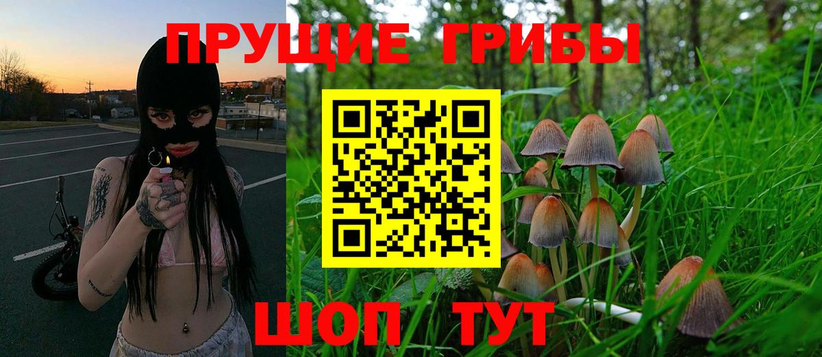 Галлюциногенные грибы Cubensis Минусинск